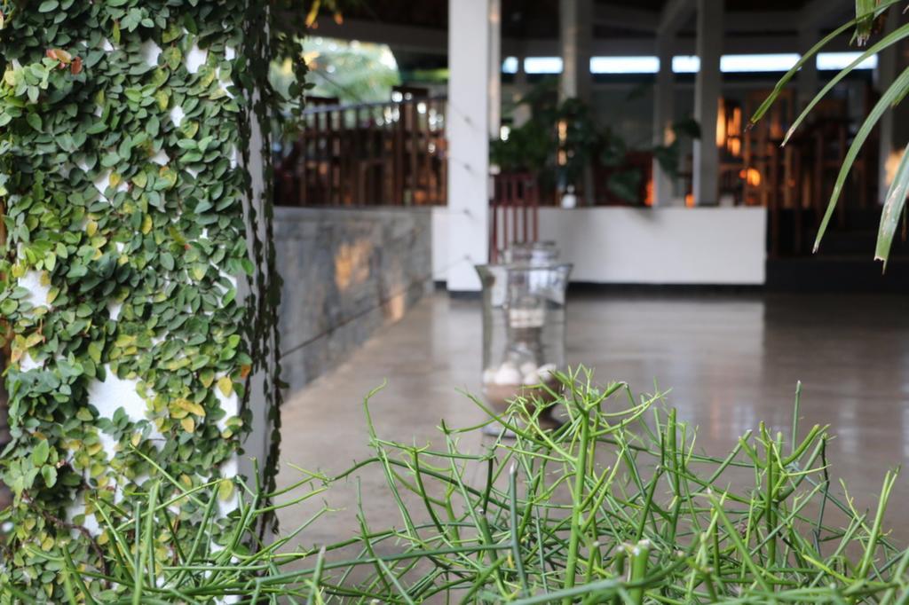 Hotel Brook Boutique Melsiripura Exterior foto