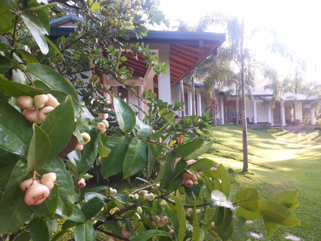 Hotel Brook Boutique Melsiripura Exterior foto